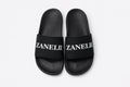 Zanelii Everyday Slides